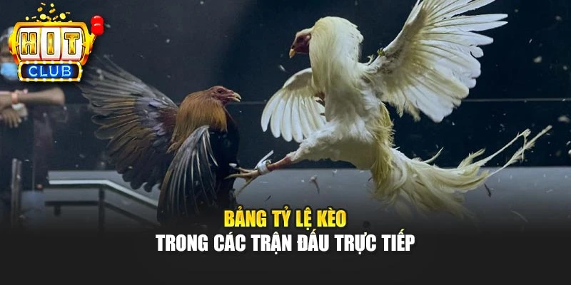 Bảng tỷ lệ kèo trong các trận đấu trực tiếp