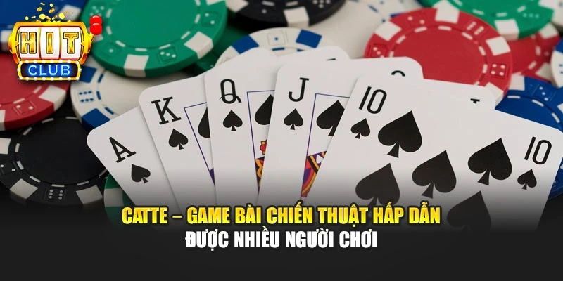 Catte – Game Bài Chiến Thuật Hấp Dẫn Được Nhiều Người Chơi