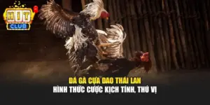 Đá Gà Cựa Dao Thái Lan - Hình Thức Cược Kịch Tính, Thú Vị 
