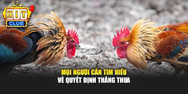 Mọi người cần tìm hiểu về quyết định thắng thua